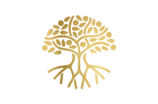 Bewustzijn Sessie x3